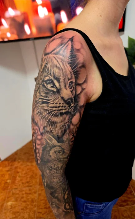 luchs-eule-tierportrait-arm-shoulder-black-grey-pirna